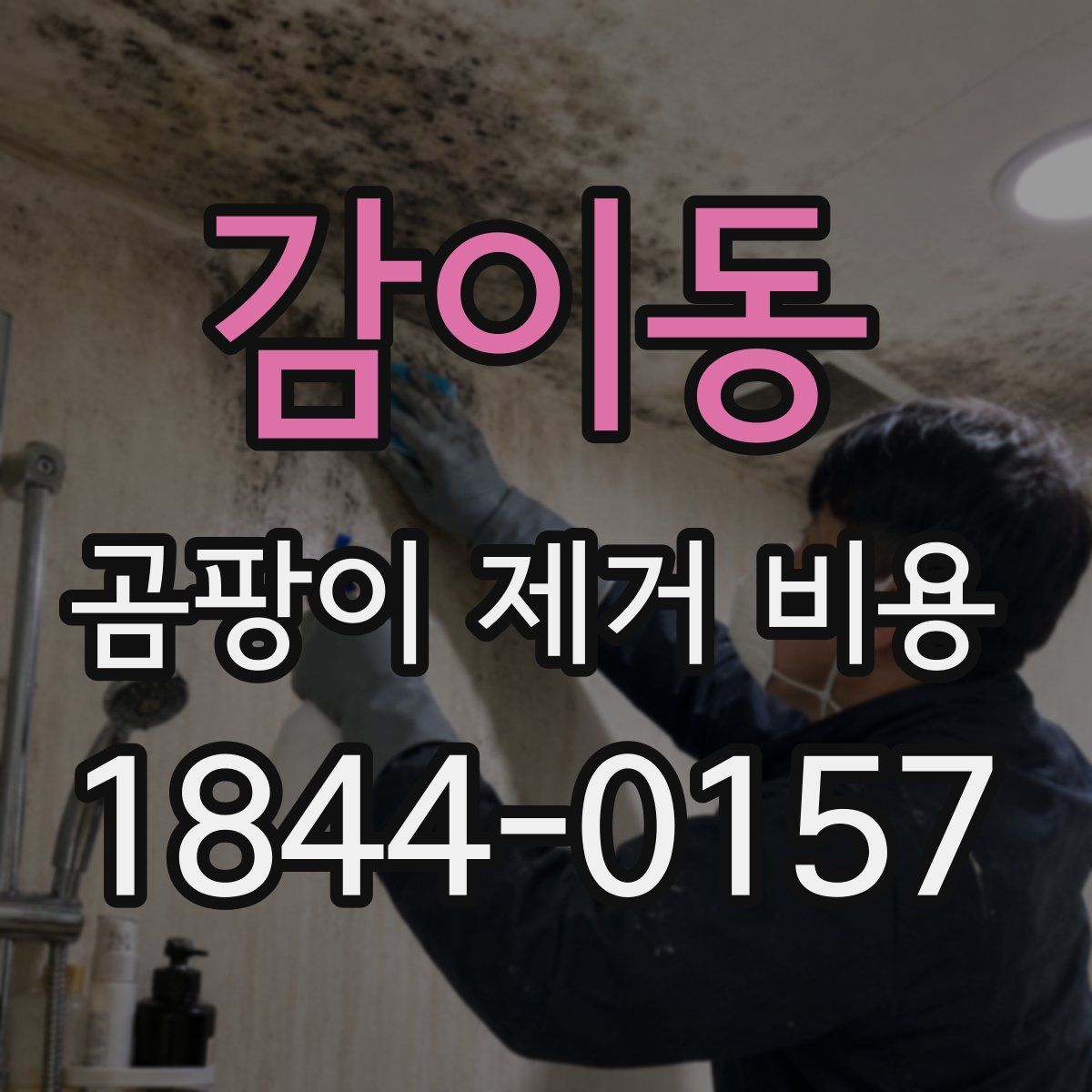 감이동 곰팡이 제거 비용