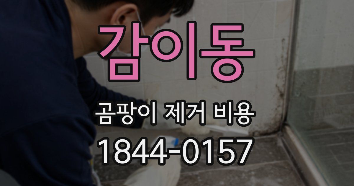 감이동 곰팡이 제거 비용