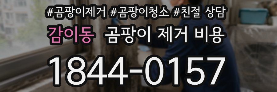 감이동 곰팡이 제거 비용