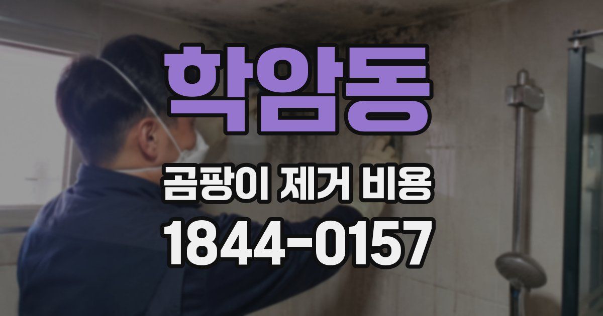 학암동 곰팡이 제거 비용