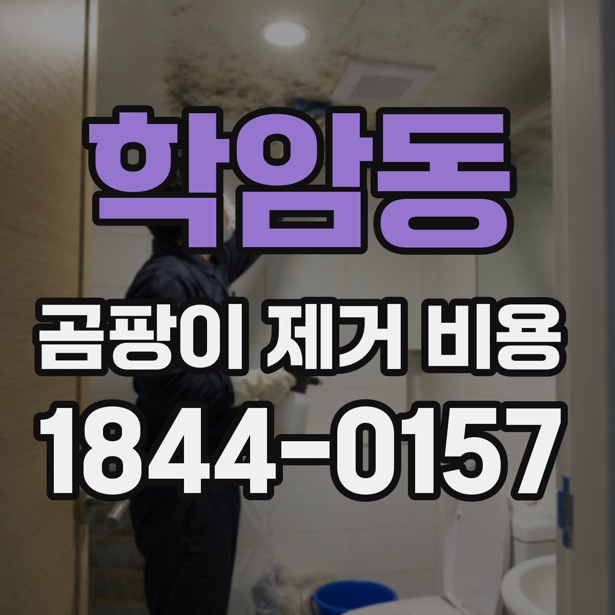학암동 곰팡이 제거 비용
