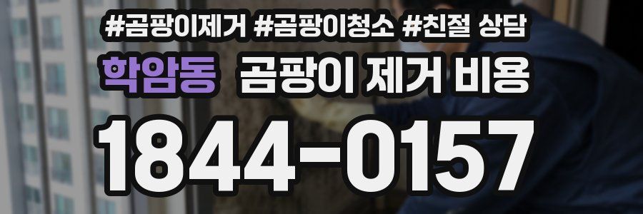 학암동 곰팡이 제거 비용