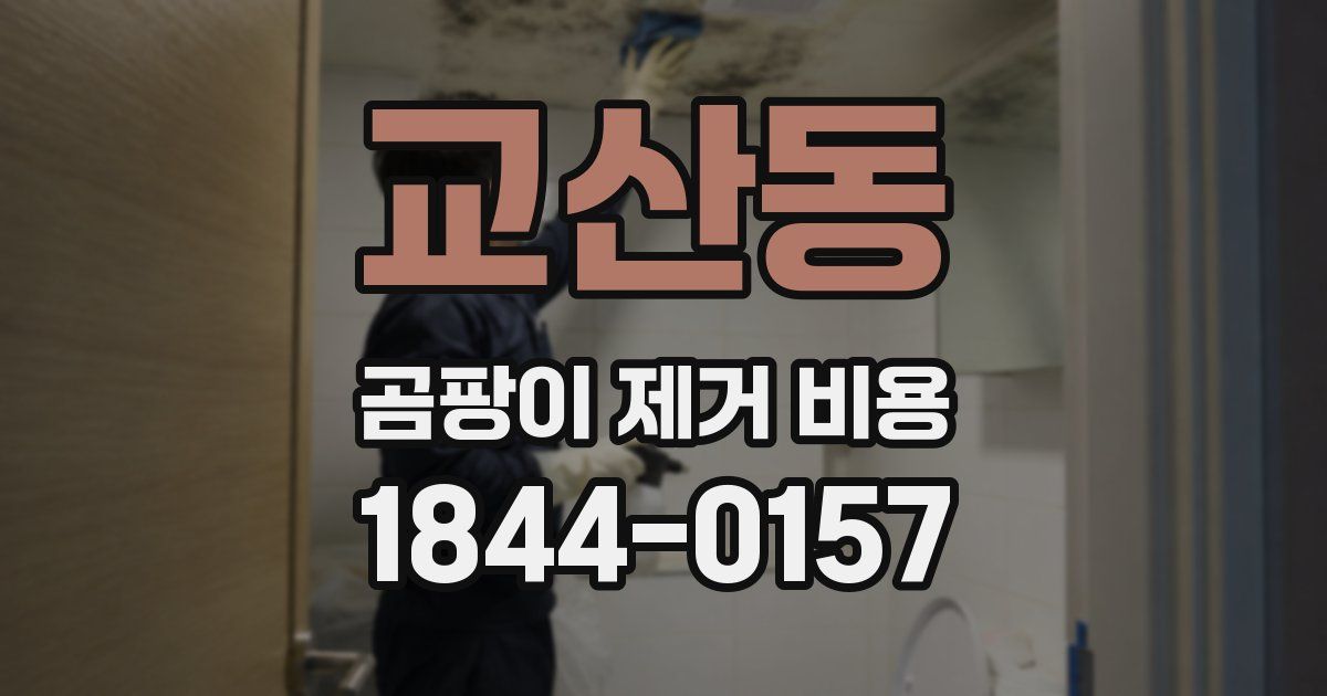 교산동 곰팡이 제거 비용