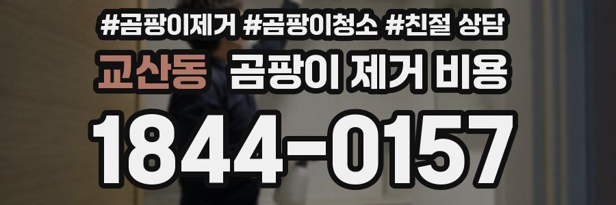 교산동 곰팡이 제거 비용