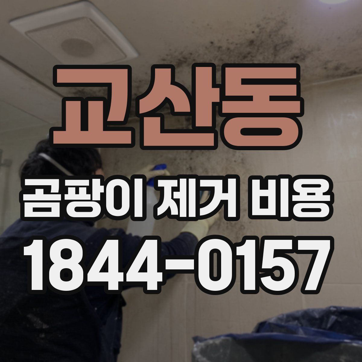 교산동 곰팡이 제거 비용