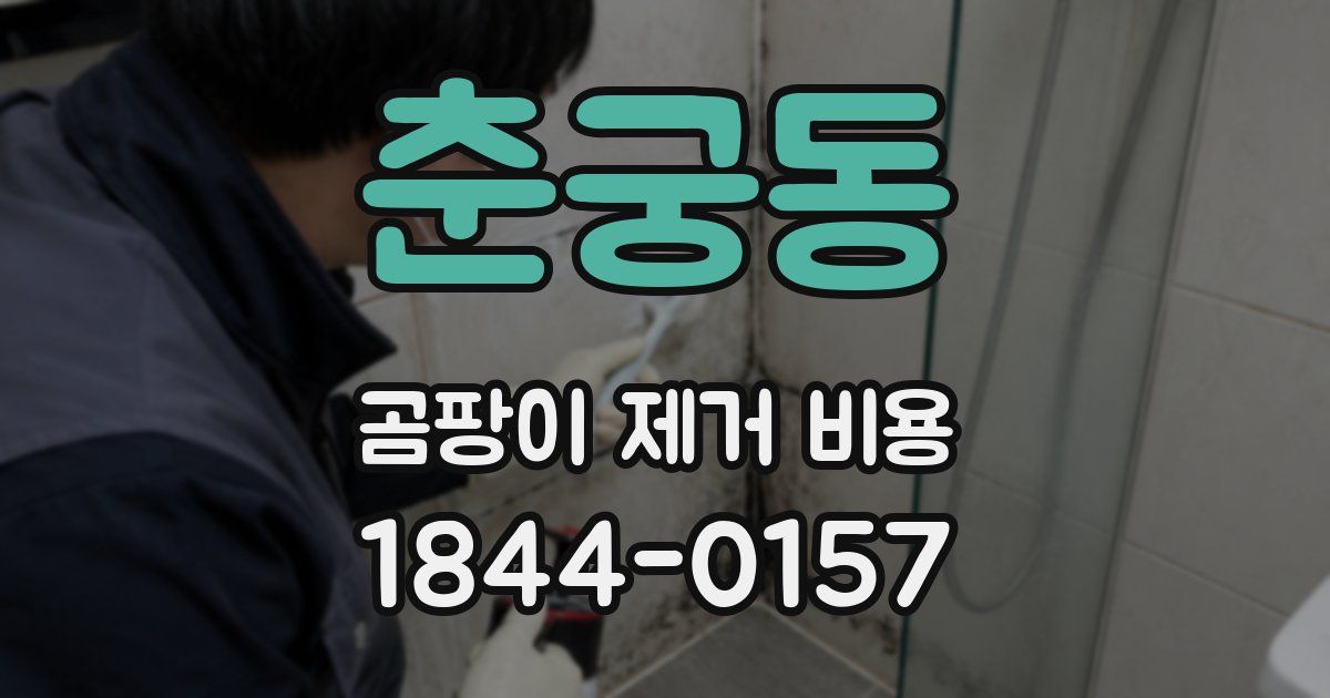 춘궁동 곰팡이 제거 비용