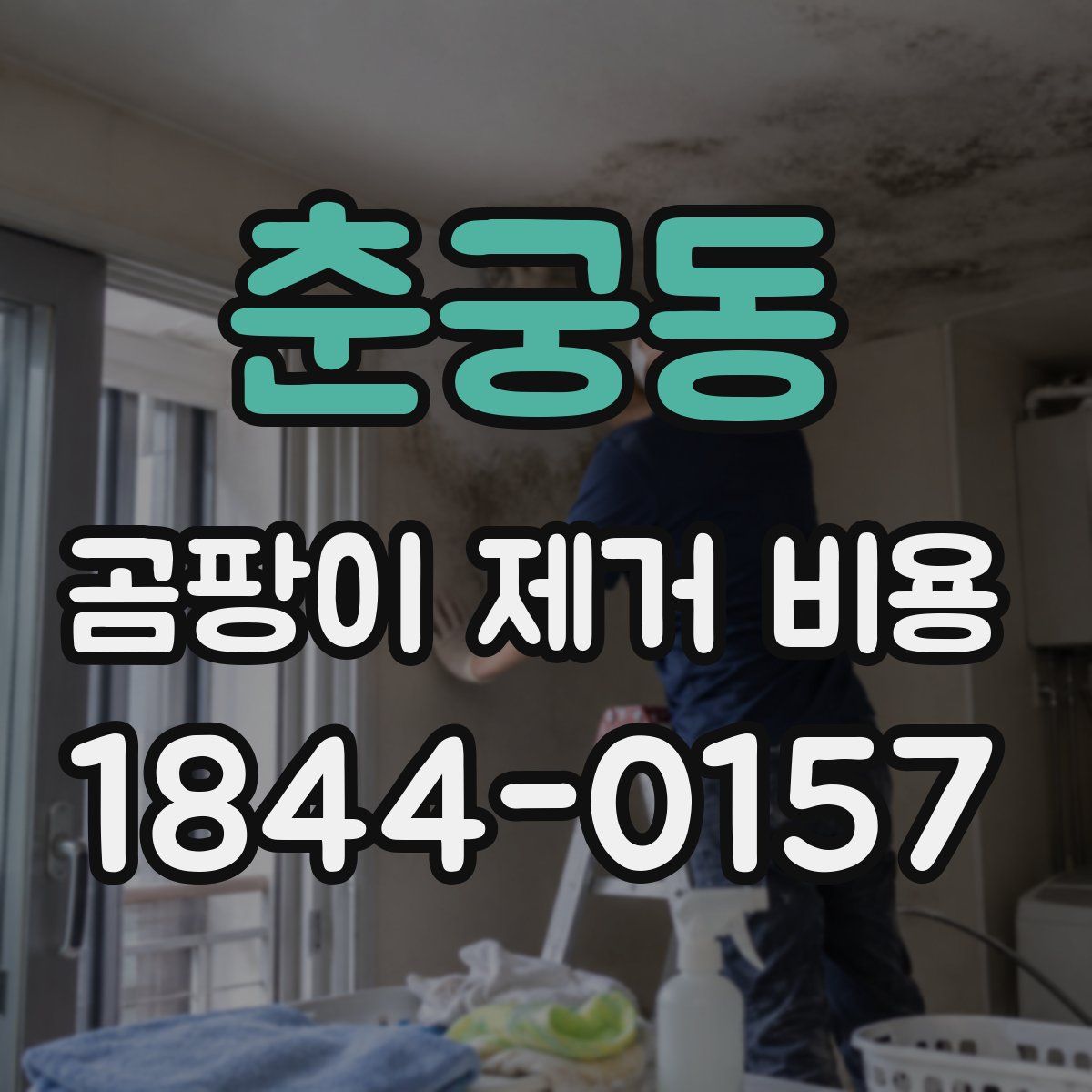 춘궁동 곰팡이 제거 비용