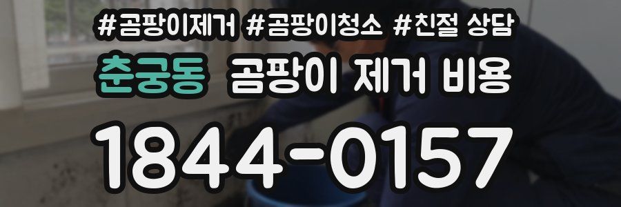 춘궁동 곰팡이 제거 비용