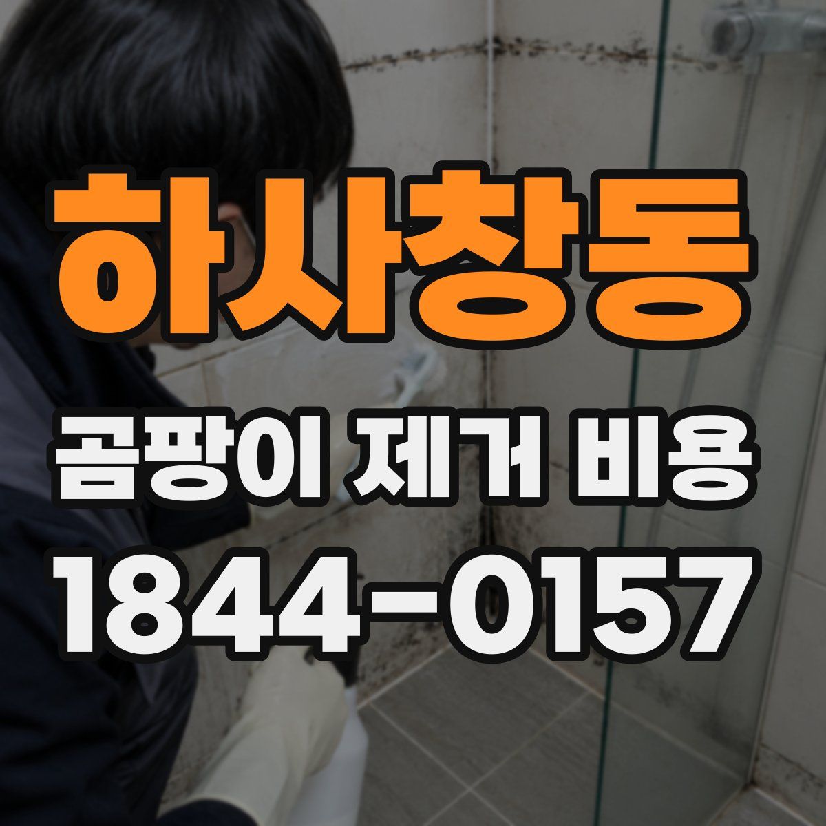 하사창동 곰팡이 제거 비용