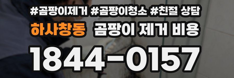 하사창동 곰팡이 제거 비용