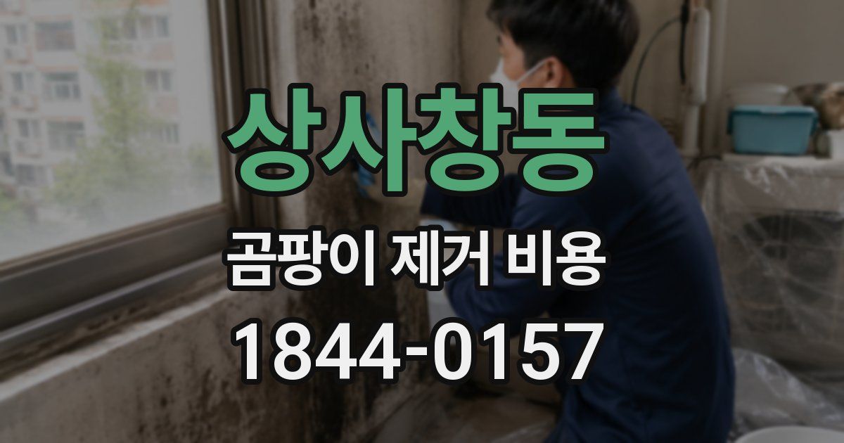 상사창동 곰팡이 제거 비용