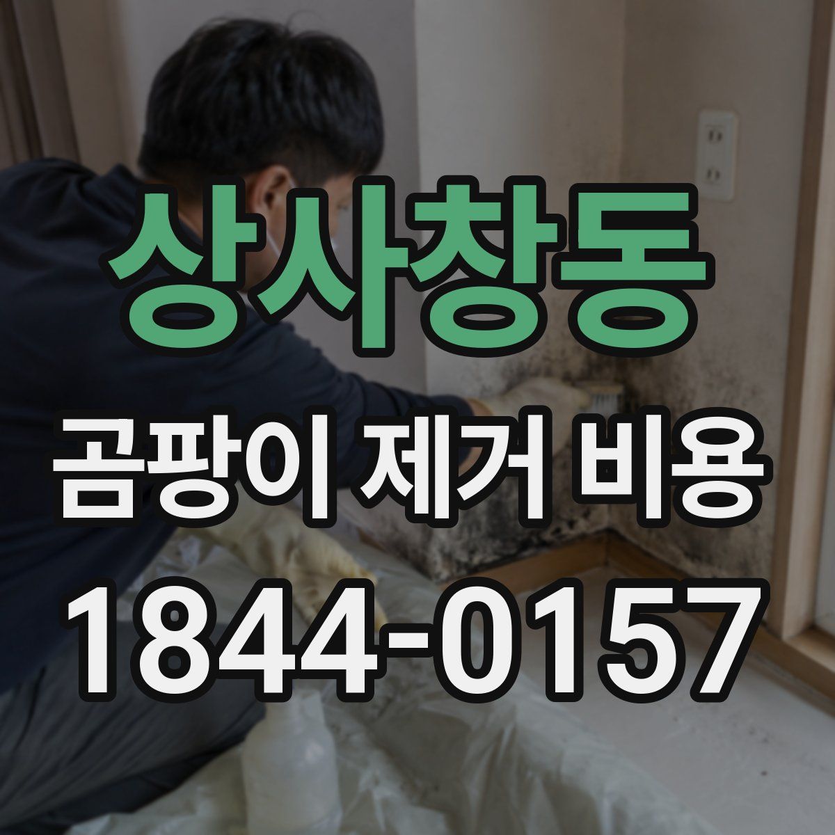 상사창동 곰팡이 제거 비용
