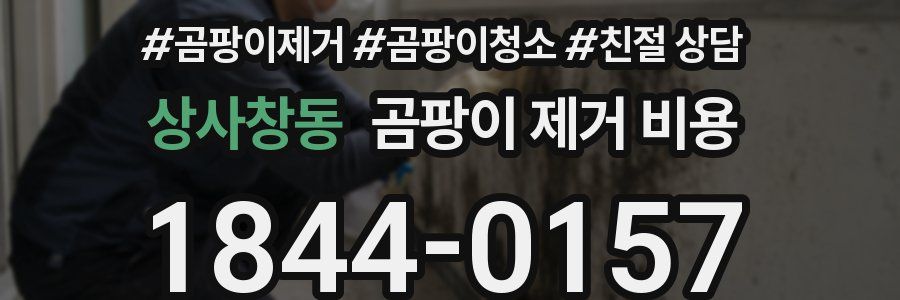 상사창동 곰팡이 제거 비용