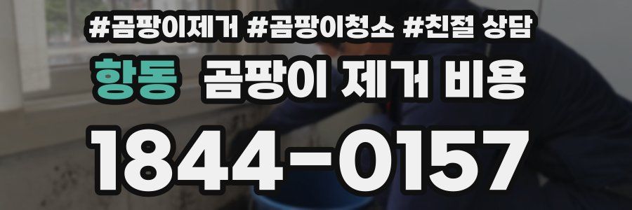 항동 곰팡이 제거 비용