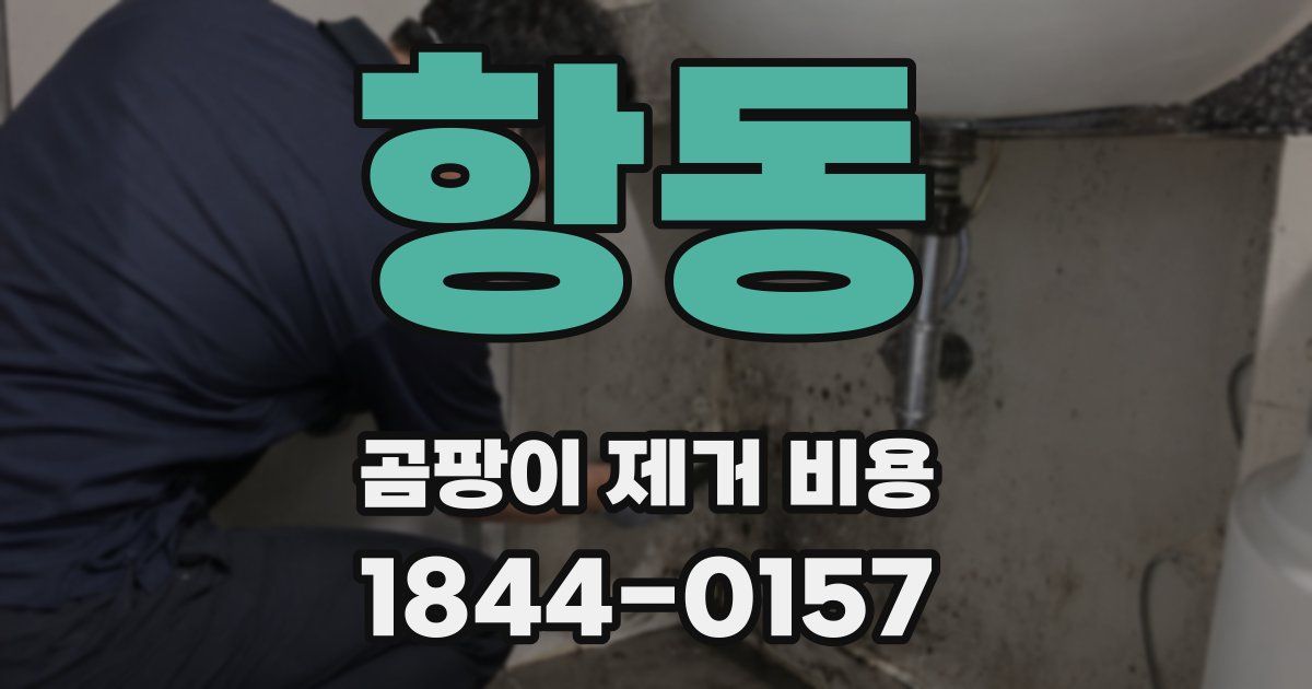 항동 곰팡이 제거 비용