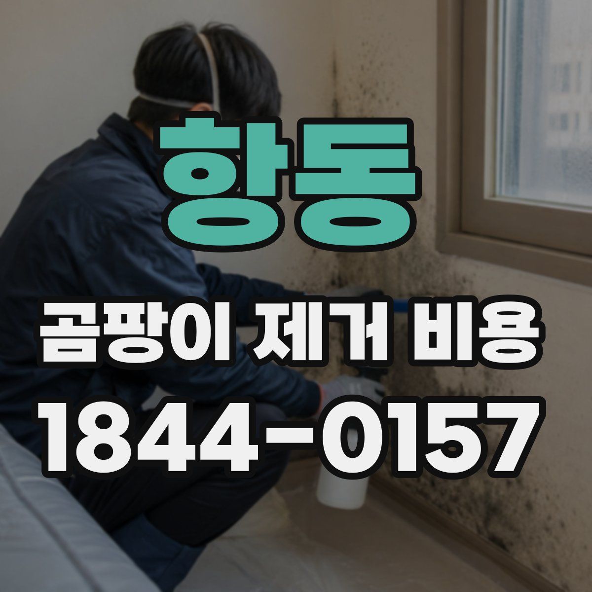 항동 곰팡이 제거 비용