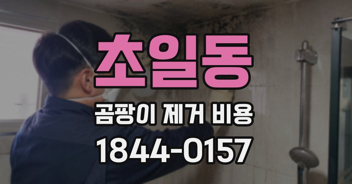 초일동 곰팡이 제거 비용