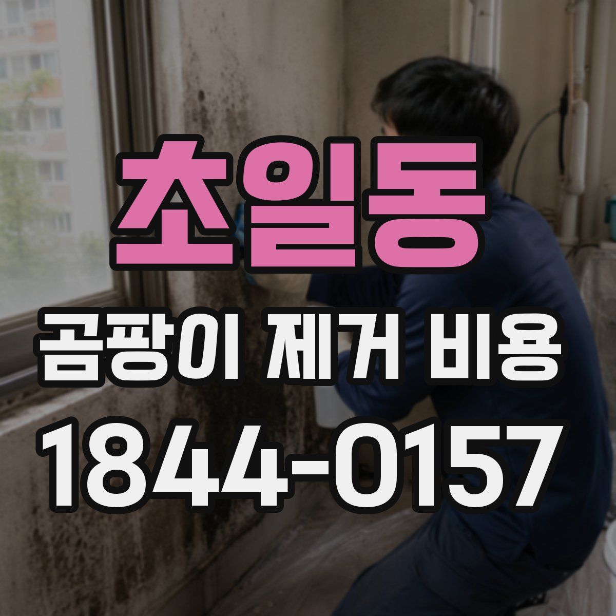 초일동 곰팡이 제거 비용
