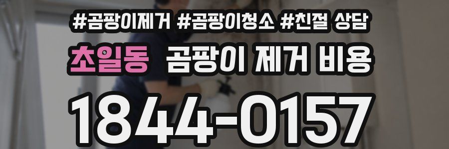 초일동 곰팡이 제거 비용
