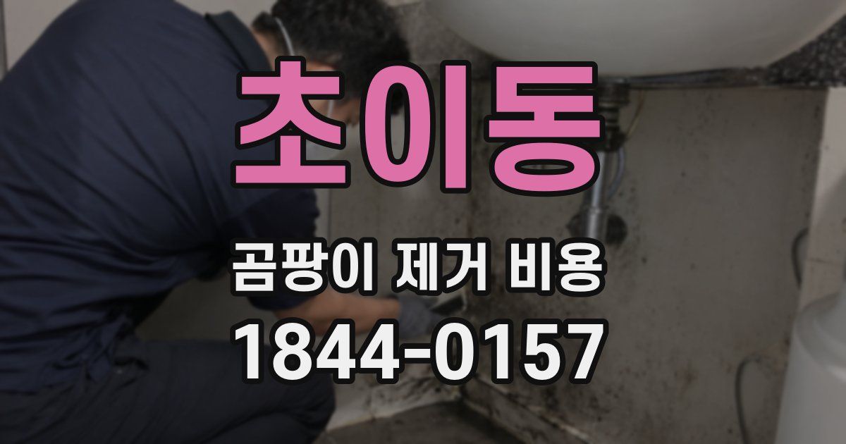 초이동 곰팡이 제거 비용