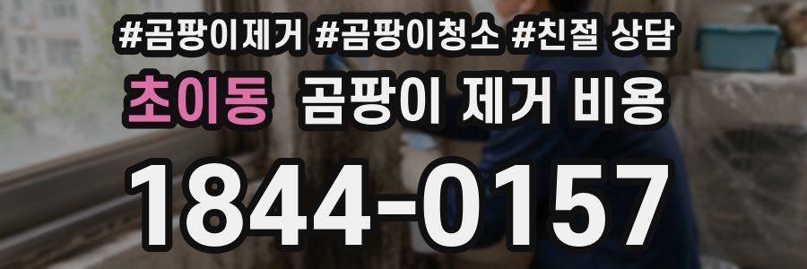 초이동 곰팡이 제거 비용