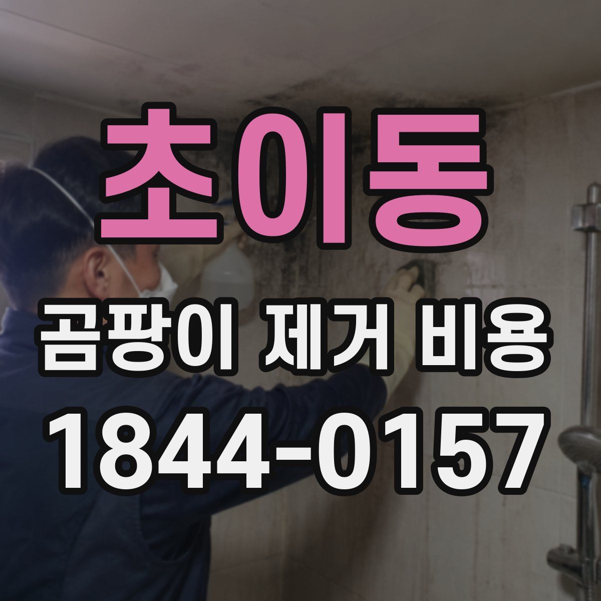 초이동 곰팡이 제거 비용
