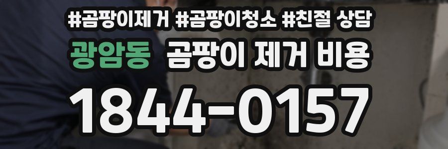 광암동 곰팡이 제거 비용