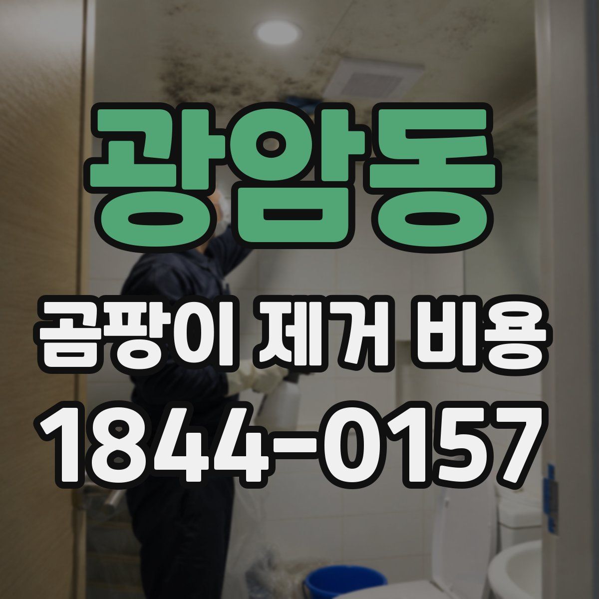 광암동 곰팡이 제거 비용