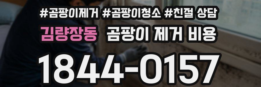 김량장동 곰팡이 제거 비용