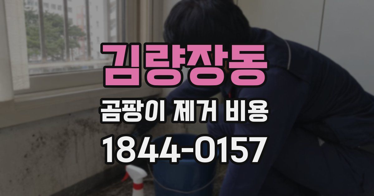 김량장동 곰팡이 제거 비용