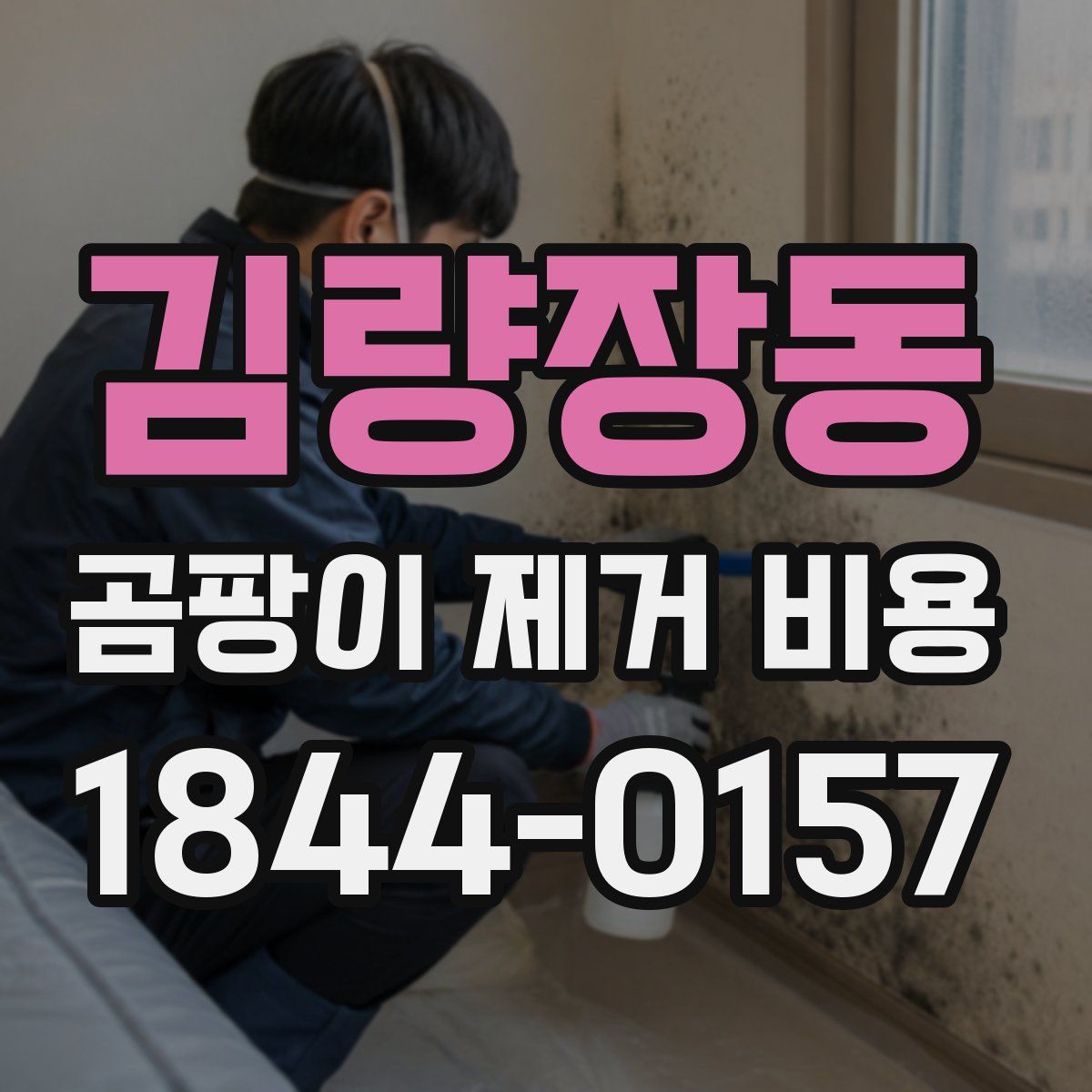 김량장동 곰팡이 제거 비용