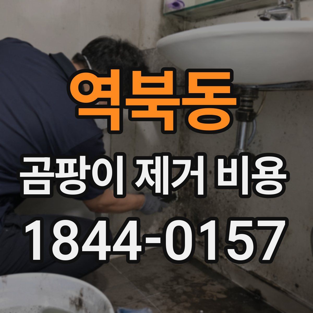 역북동 곰팡이 제거 비용
