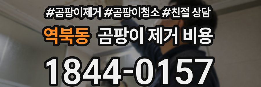 역북동 곰팡이 제거 비용
