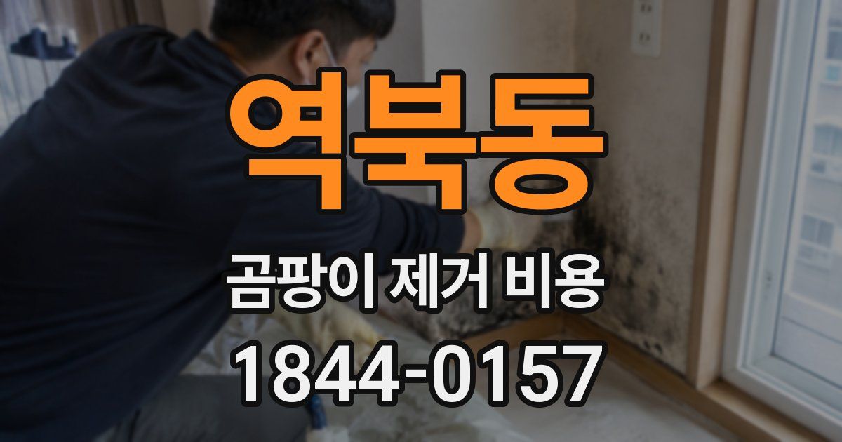 역북동 곰팡이 제거 비용