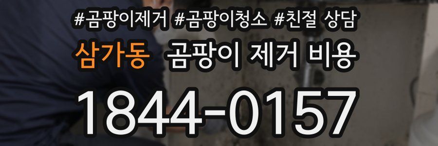 삼가동 곰팡이 제거 비용