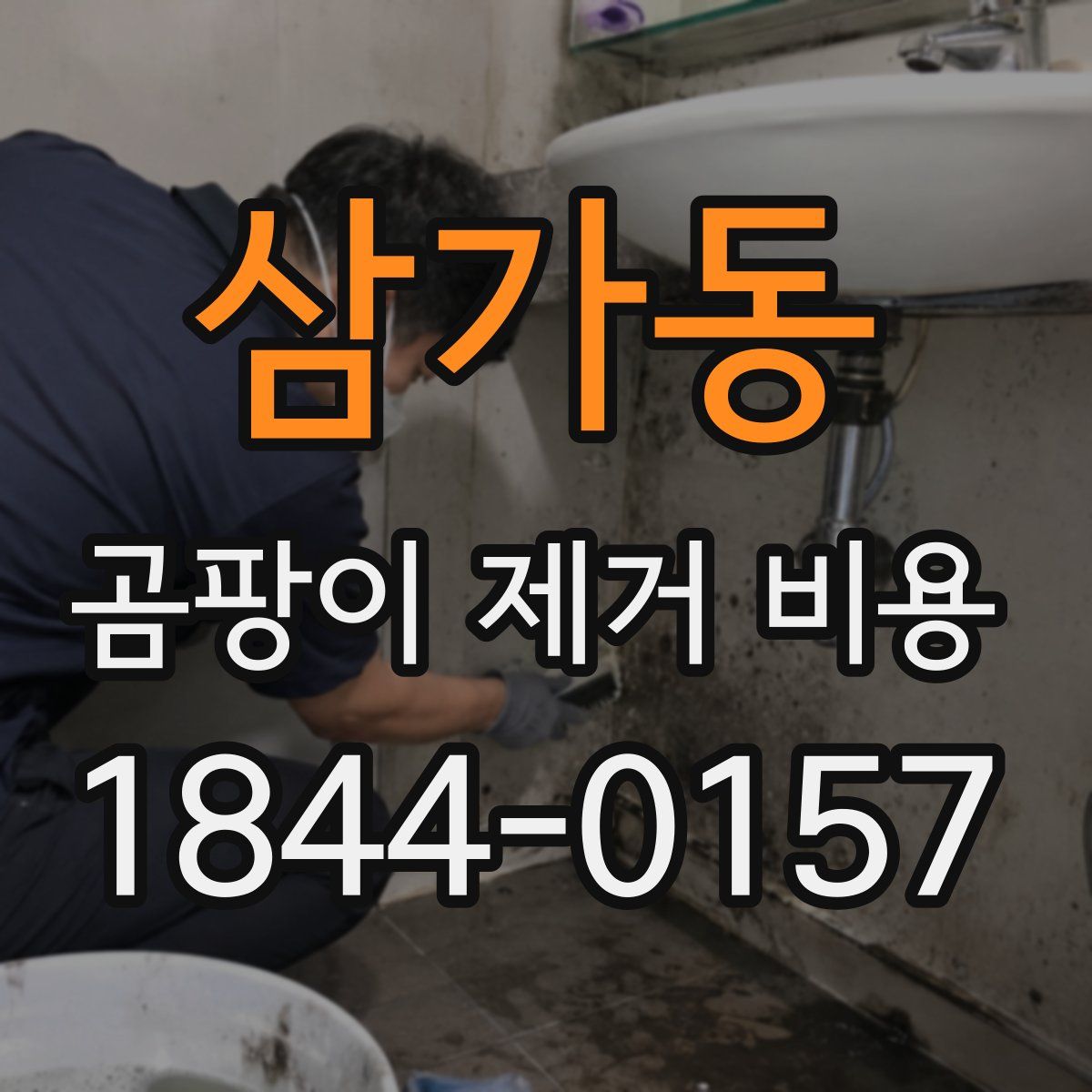 삼가동 곰팡이 제거 비용