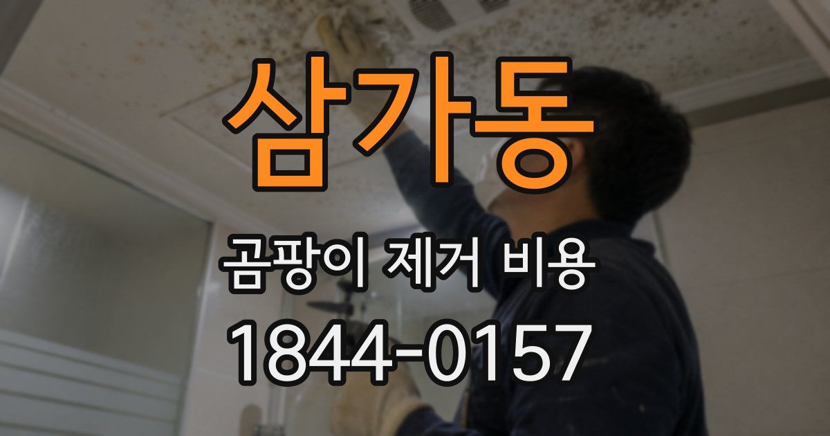 삼가동 곰팡이 제거 비용