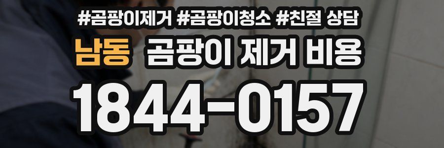 남동 곰팡이 제거 비용