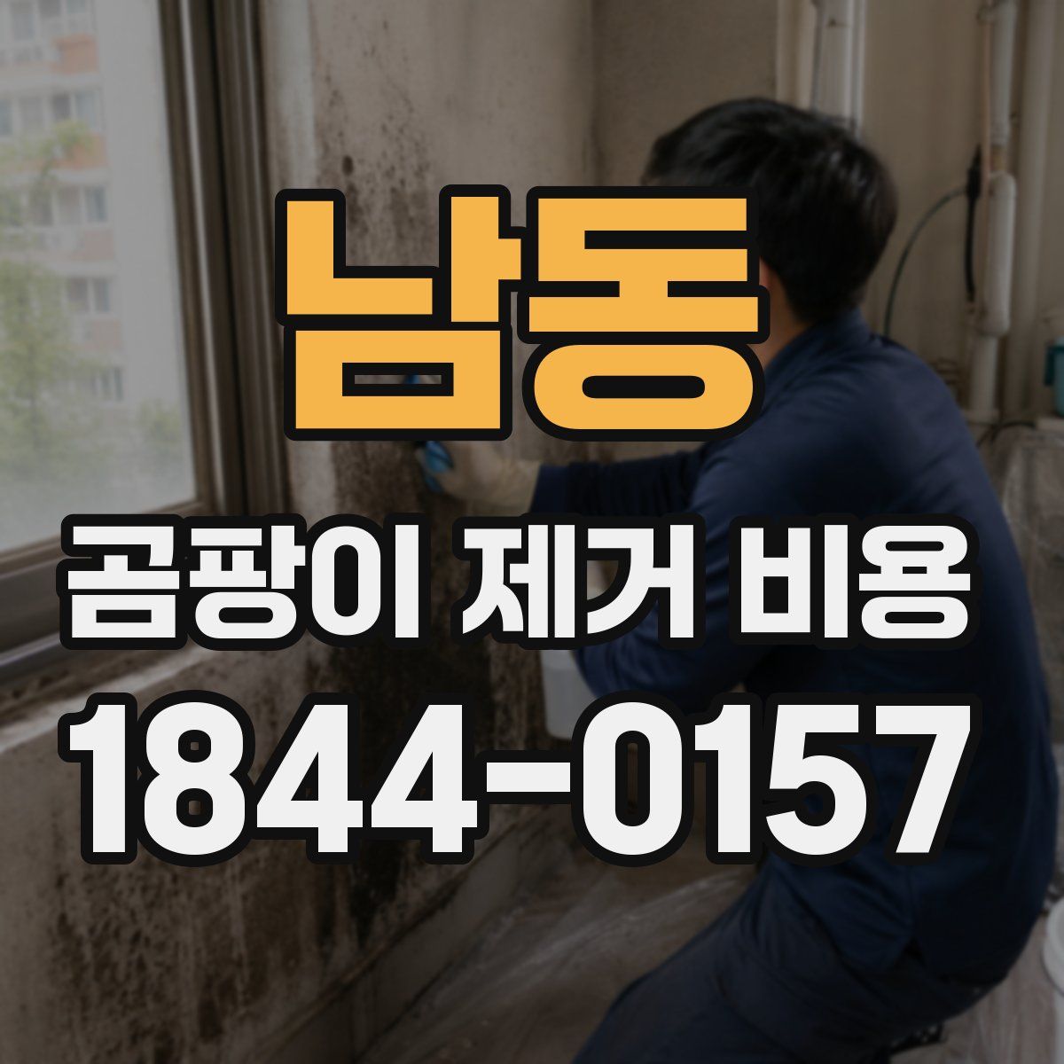 남동 곰팡이 제거 비용
