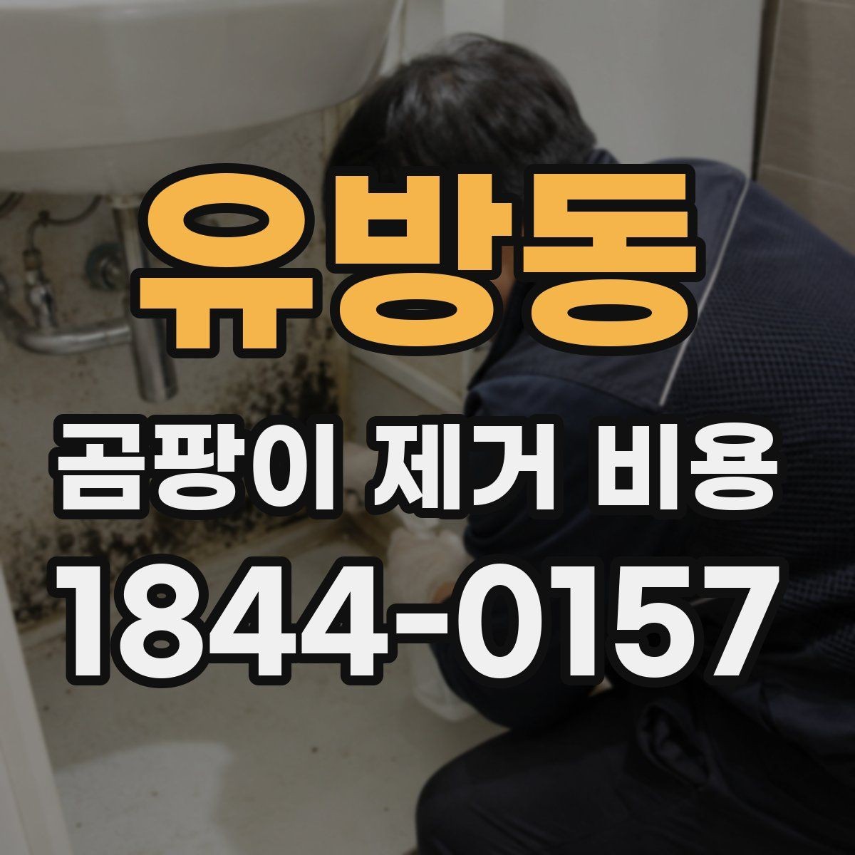 유방동 곰팡이 제거 비용 오래된 곰팡이일수록 달라지는 점