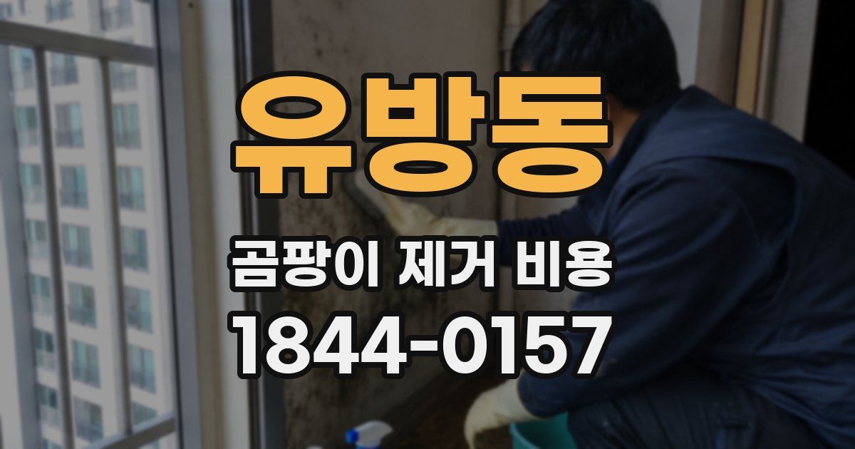유방동 곰팡이 제거 비용