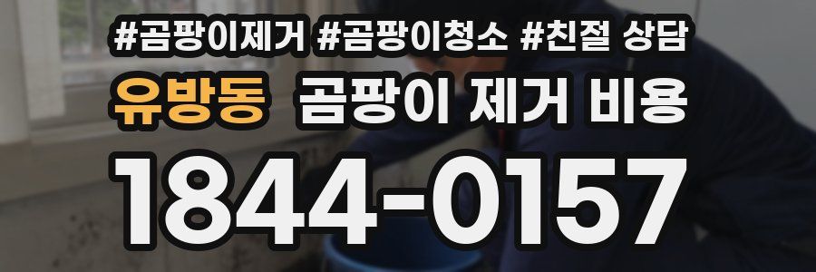 유방동 곰팡이 제거 비용