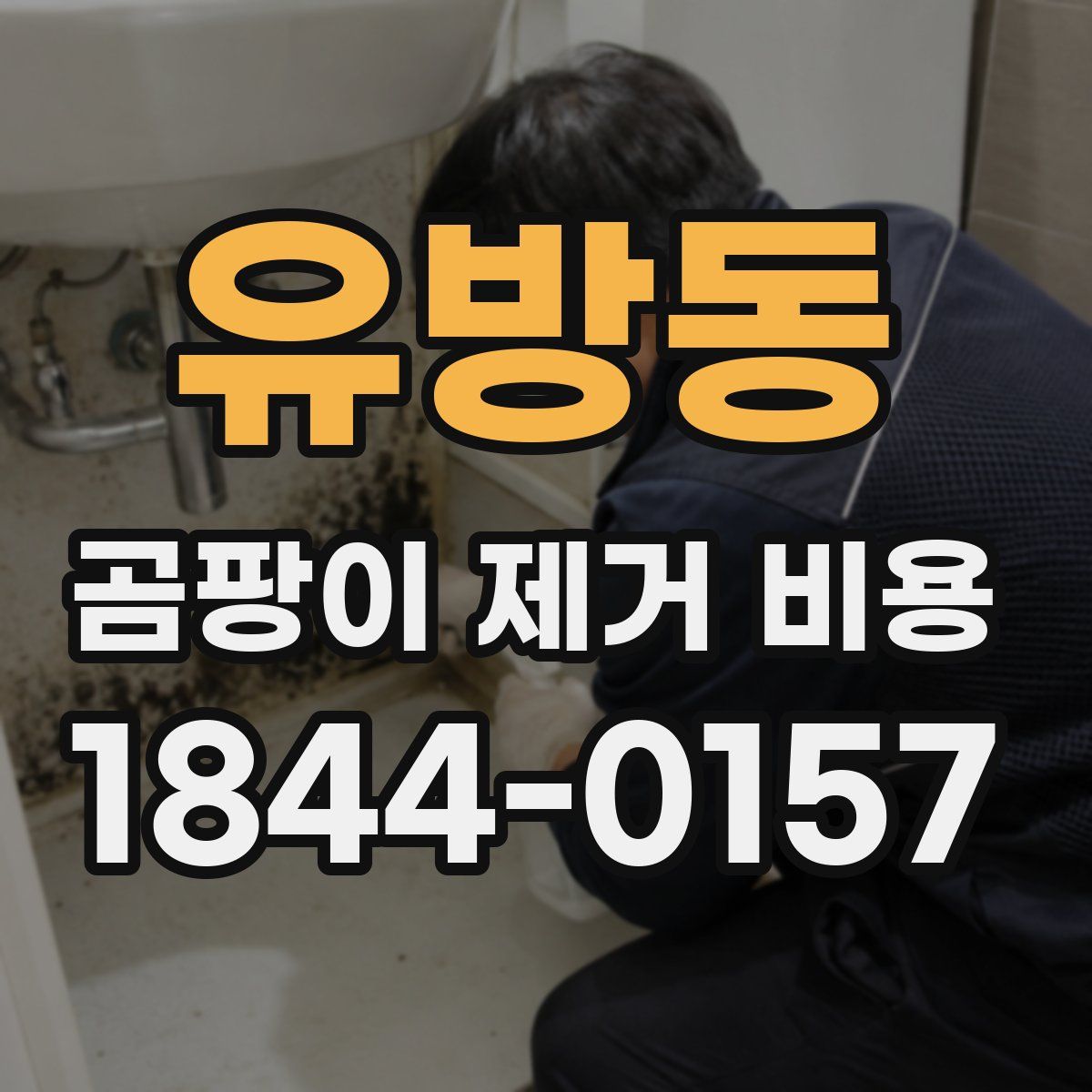 유방동 곰팡이 제거 비용