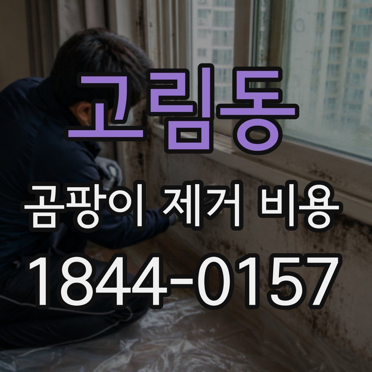 고림동 곰팡이 제거 비용 공간 크기에 따라 어떻게 달라질까