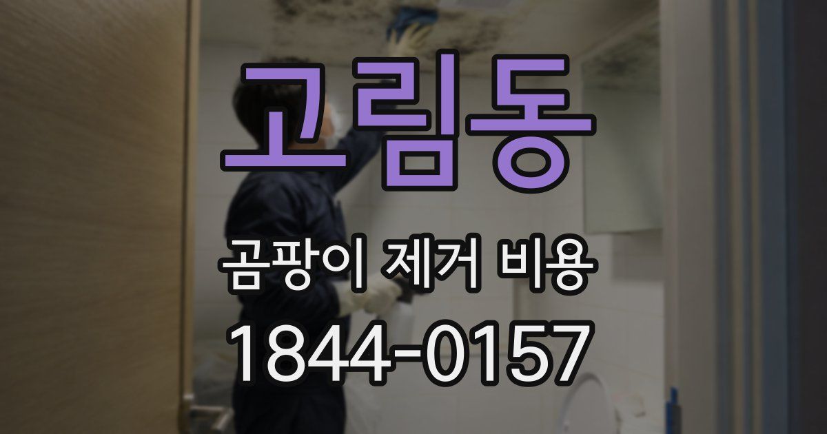고림동 곰팡이 제거 비용