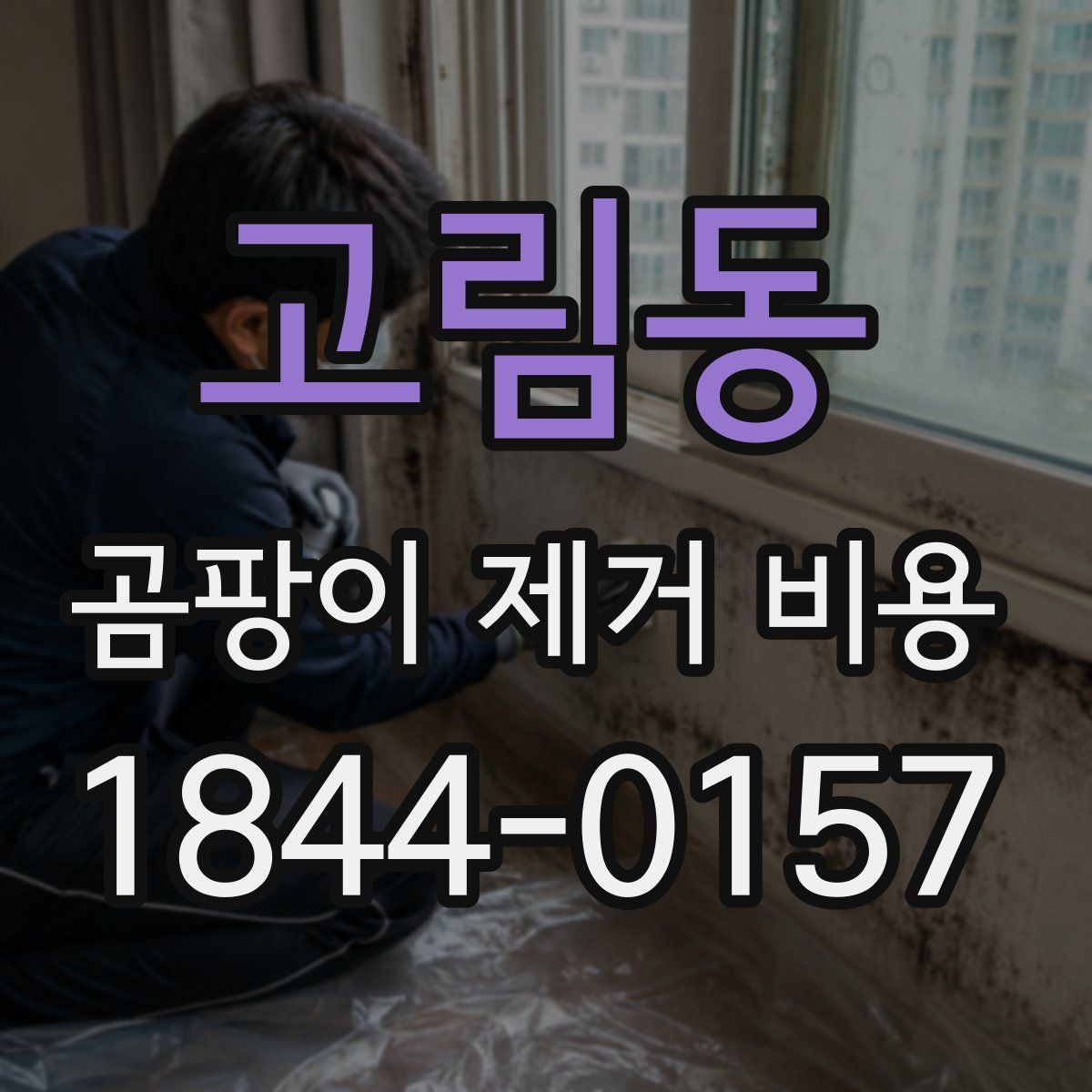 고림동 곰팡이 제거 비용