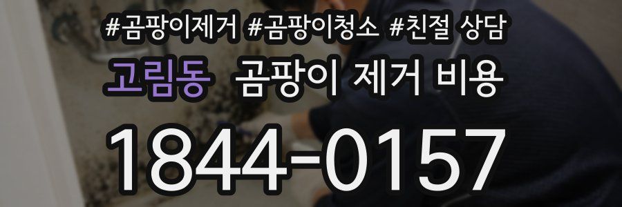 고림동 곰팡이 제거 비용