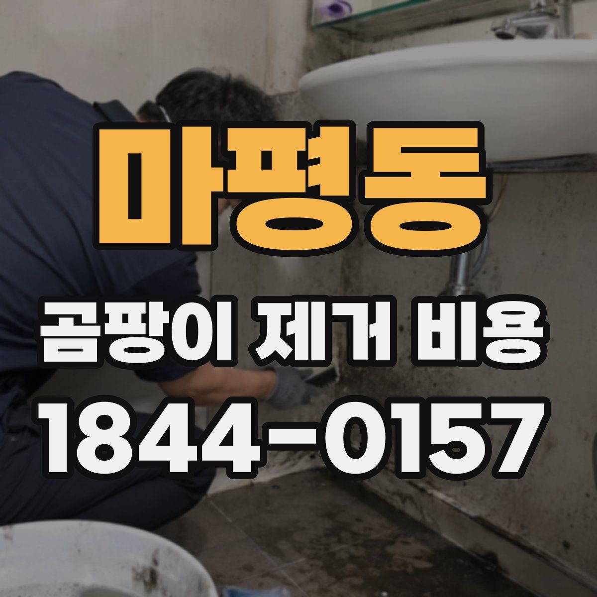마평동 곰팡이 제거 비용