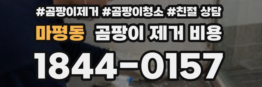 마평동 곰팡이 제거 비용