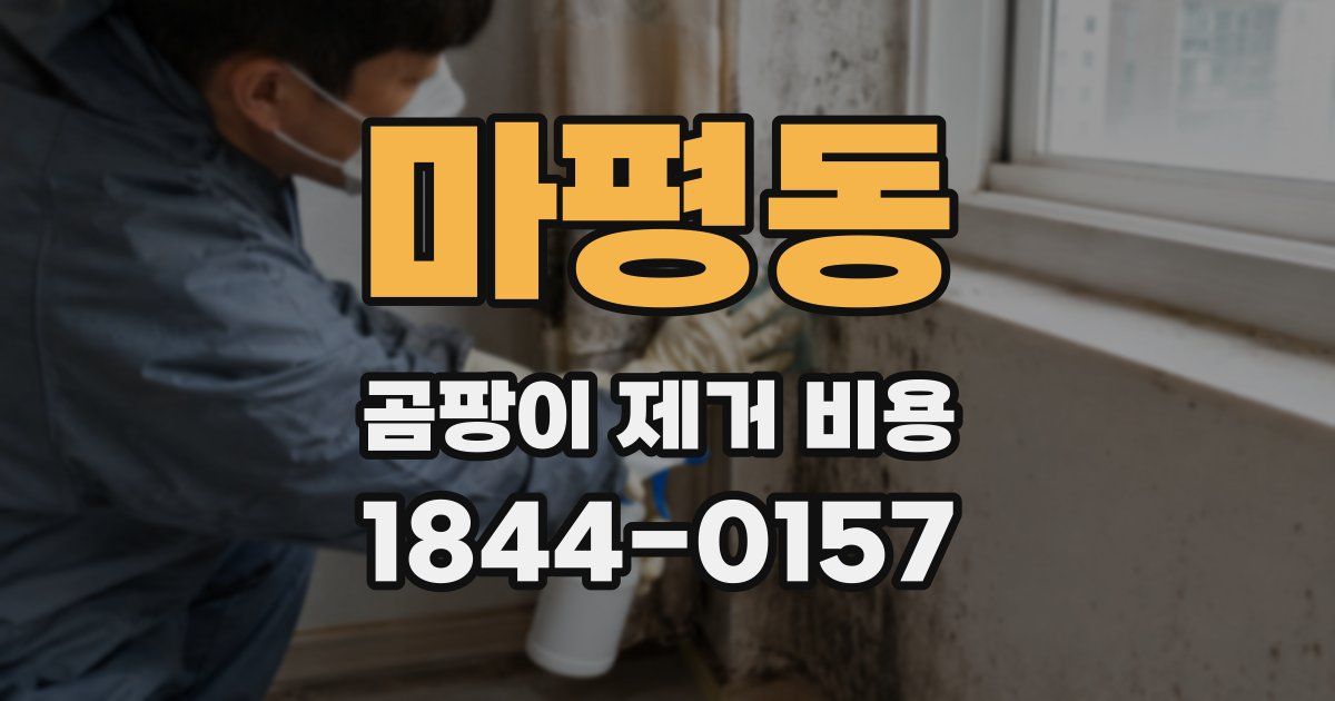 마평동 곰팡이 제거 비용